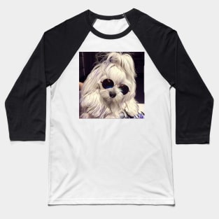 Maltese Coco the model, maltese dog, maltese, maltese puppy, dog model, white dog, dog products Baseball T-Shirt